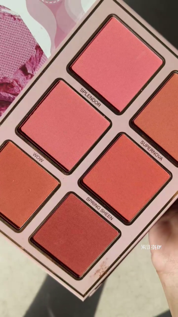 DazzleDerm All-in-One Glam Palette Collection – 24-Color Eyeshadow, 6-Shade Radiant Highlighter & 6-Blush Cheek Flush for Endless Makeup Looks - Image 3