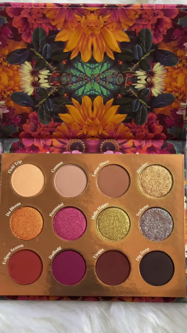 Vibrant 12-Color Eyeshadow Palette with Matte, Glitter, and Shimmer Finishes – Featuring Bold Shades in Gold, Red, Pink, Purple, and Earthy Tones for Stunning Eye Looks - Image 2